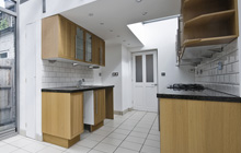 Ballykinler kitchen extension leads